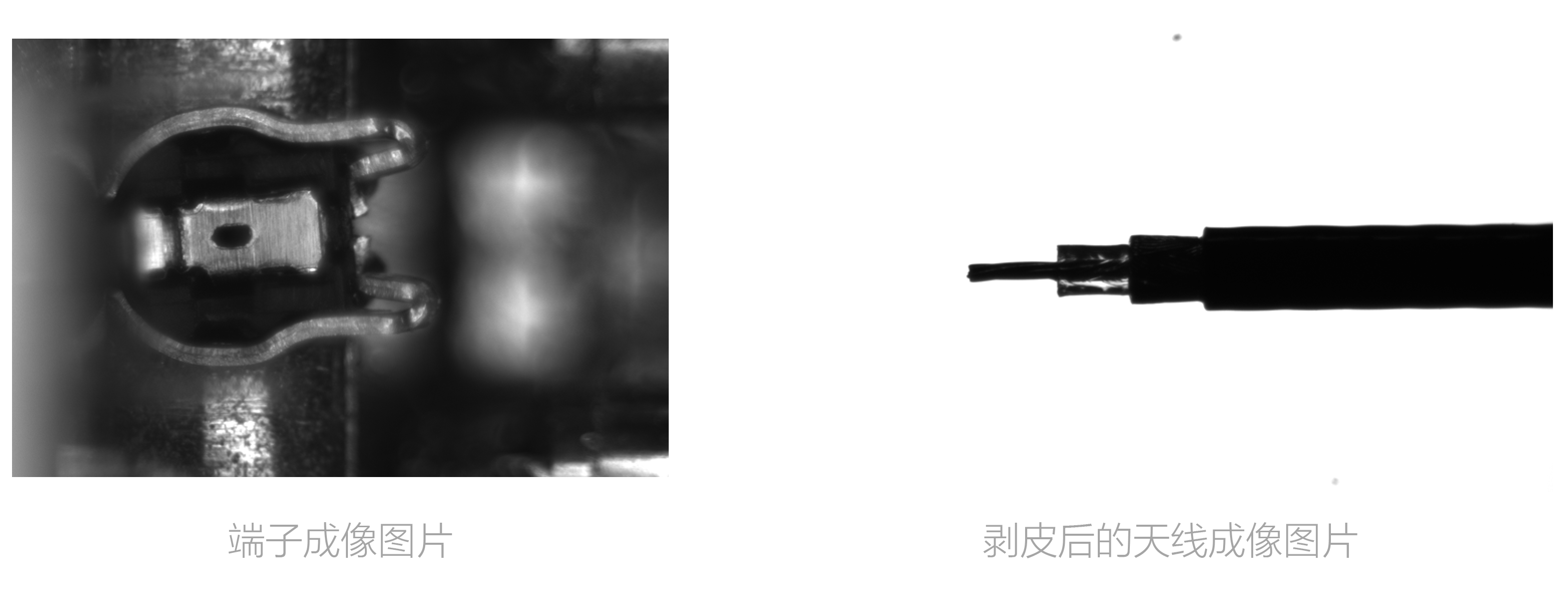 122cc太阳集成游戏(中国)有限公司官网
